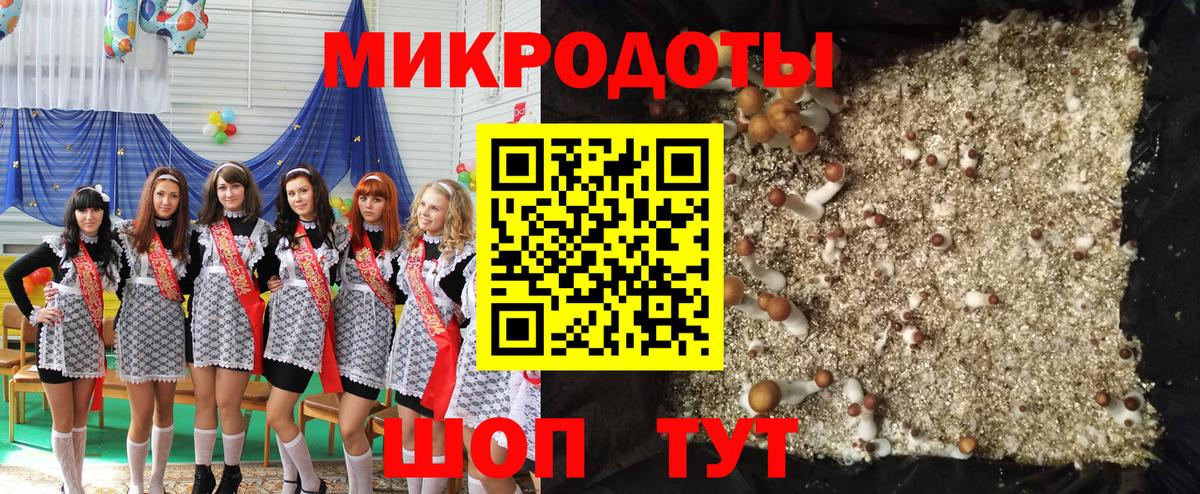 Галлюциногенные грибы Psilocybe  Галлюциногенные грибы MAGIC MUSHROOMS  Вход с VPN  Губаха 
