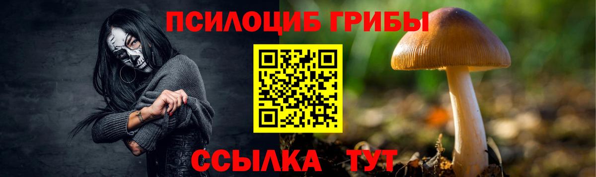 Псилоцибиновые грибы GOLDEN TEACHER Губаха