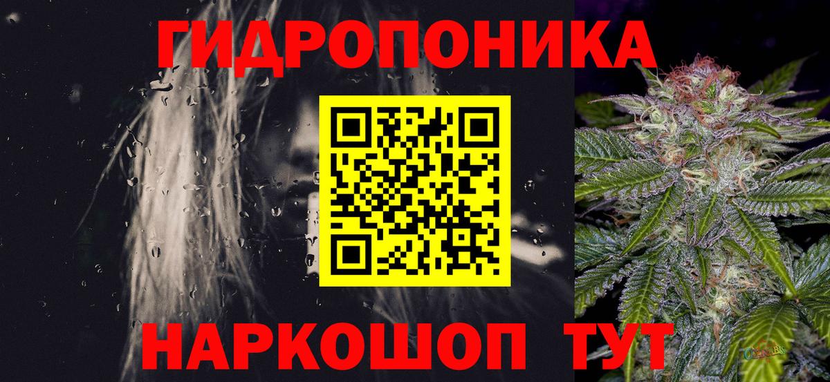 Канабис White Widow Губаха